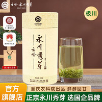 YUNLING TEA 云岭茶业 永川秀芽2024新茶极川茶叶绿茶明前春茶毛尖重庆特产50g装