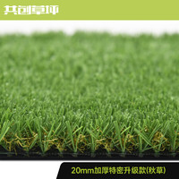 CCGrass 共创仿真草坪20mm10平方幼儿园健身房阳台草坪屋顶人造草皮足球场