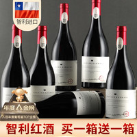 移动端、京东百亿补贴：轩唐 Carmina 卡曼尼 智利佳美娜（Carmenere）干型红葡萄酒 6瓶*750ml套装