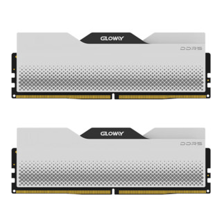 GLOWAY 光威 龙武 DDR5 6000MHz 台式机内存 马甲条 32GB（16GBx2）海力士A-die颗粒 CL28