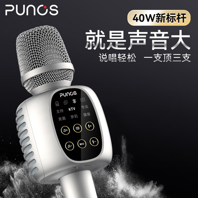 Punos 博浪沙 新标杆40W双喇叭户外k歌麦克风唱歌话筒音响一体麦自带声卡