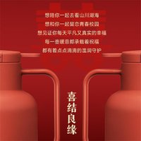 SUPOR 苏泊尔 保温壶家用1.45L玻璃内胆保温暖水壶红色结婚用陪嫁新年好礼