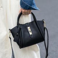 【菜篮子包】2024年手提包斜挎包单肩包女经典出游轻便