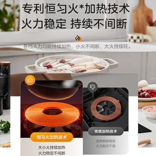 Midea 美的 电磁炉2200W家用大功率电磁灶 智能定时精准控温恒温匀火防刮耐磨台嵌两用 MC-DZ22S03E