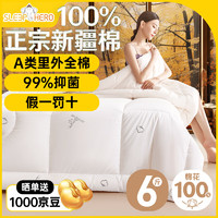 睡眠英雄 SleepHero A类抑菌100%新疆棉花秋冬棉被子 里外全棉被芯 6斤 200*230cm