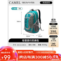 CAMEL 骆驼 户外防水登山包 大容量徒步男女旅行双肩书包 A9W3C3135A