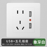 PNTU 国际电工 五孔带多位USB插座 86型 五孔双USB-限量特价