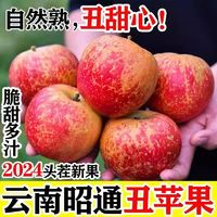 88VIP：PANZHIHUA FRUIT 云南昭通丑苹果冰糖心生鲜水果新鲜整箱当季脆甜应季红富士平果5斤