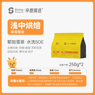 sinloy inloy Coffee 辛鹿咖啡 埃塞俄比亚耶加雪菲G1 SOE精品意式咖啡豆