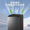 Haier 海尔 8公斤 家用 全自动波轮洗衣机自编程速洗除菌洗漂脱可调 XQB80-Z606