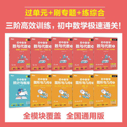 高效训练初中数学 七年级八年级九年级中考数学刷题同步辅导资料