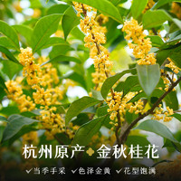 EFUTON 艺福堂 桂花乌龙茶新茶铁观音茶桂花香乌龙茶浓香散装新型茶旗舰店