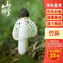 云芳斋 云南特级新鲜竹荪 鲜菌菇 煲汤食材 蘑菇菌子净含量500g源头直发