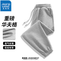 真维斯（JEANSWEST）休闲裤子男秋冬季百搭华夫格束脚裤青少年潮流宽松运动长裤 灰色 3XL(160-170斤 )