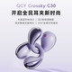 QCY 意象 C30 耳夹耳机 不入耳开放式无线蓝牙耳机 舒适稳固佩戴长续航 黑色 午夜黑