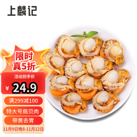 上麟记 鲜泰来 扇贝肉 500g