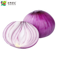 家美舒达 紫洋葱 约500g 2-3个 新鲜蔬菜