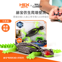 HEXBUG 赫宝 机器虫仿生机器虫机械虫遥控动物儿童玩具男孩女 USB充电 可墙壁爬行 机器虫