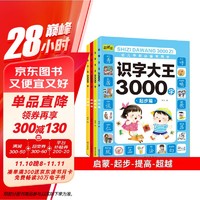 识字大王3000字全套4册幼小衔接学前识字书幼儿园中班大班教育启蒙认字图书3-4-5-6岁幼儿学（套装共4册）