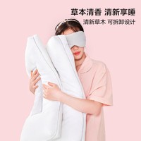 BLISS 百丽丝 水星集团出品单枕/对枕草本枕头荞麦枕芯草本枕定型枕装枕头透气