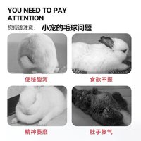 JX 京喜 仓鼠兔子水果丸龙猫豚鼠补充维生素 荷兰猪仓鼠营养零食用品 2片木瓜丸