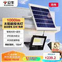 公牛(BULL)太阳能灯户外庭院灯钢化玻璃智能光控远程遥控MG-C150A-AE 3米线