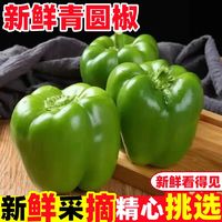 百亿补贴：秋趣 圆椒灯笼椒菜椒太空椒不辣新鲜现摘3斤5斤包邮