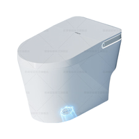  箭牌 ARROW AKE1165-PLUS 低水压智能坐便器 300mm坑距