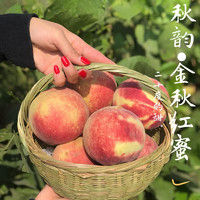 山东蒙阴 金秋红蜜桃 净重2.25斤 单果100克+