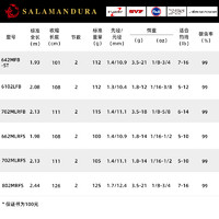 DAIWA 达亿瓦 22新款火蜥蜴 SALAMANDURA路亚竿远投钓杆淡水泛用竿