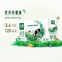 SATINE 金典 【限时抢】金典旗舰店纯牛奶250ml*16盒学生整箱优质营养早餐牛奶