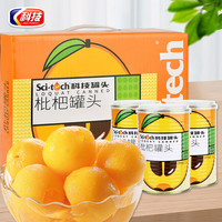 科技枇杷水果罐头408g*12罐整箱装马口铁即食聚餐出游餐后零食 枇杷水果罐头408g*12罐