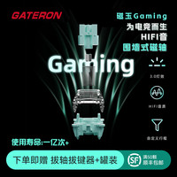 TITANNATION 佳达隆磁玉轴磁玉pro磁玉适用wooting/made68/fire68 磁玉轴GAMING*80颗 罐装送拔轴器