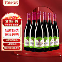 TONHWA 通化葡萄酒 微气泡山葡萄酒