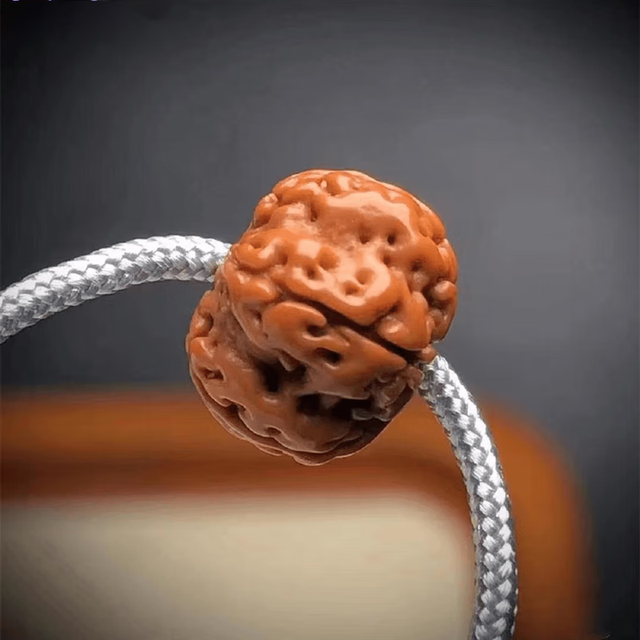 耕鸿爆肉小金刚菩提子108 颗老树梅花桩花王原籽双龙纹文玩佛珠手