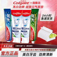 Colgate 高露洁 牙膏 防蛀健白*2支+薄荷120g+龙井120g+牙膏挤压器