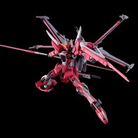 88VIP：万代 BANDAI HG HGCE 1/144 无限正义高达 二式  SEED 拼装模型