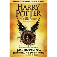 20点开始：《Harry Potter and the Cursed Child 哈利波特与被诅咒的孩子》