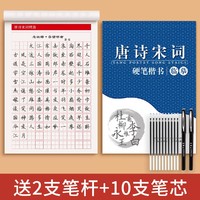 金枝叶 临摹练字帖成人楷书大人正楷硬笔书法字帖钢笔练字专用练习男生女生字体大气初中生高中生每日一练楷体练字本