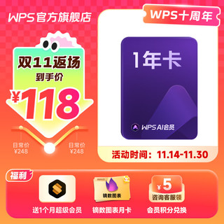 WPS 金山软件 AI会员年卡+超级会员月卡+镝数图表月卡