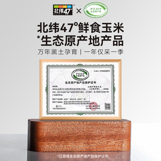 北纬47度白糯鲜食玉米220g*10穗鲜糯甜玉米真空装黑龙江东北苞米