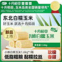 百亿补贴：十月稻田 白糯玉米160g/10根1.6kg东北玉米软糯香甜低脂新鲜真空装