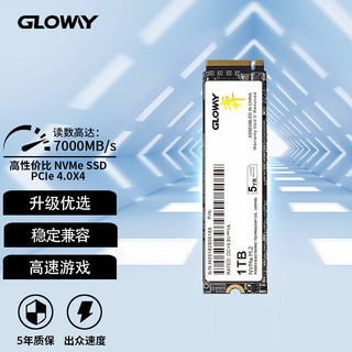 GLOWAY 光威 1TB SSD固态硬盘 M.2接口(NVMe协议) PCIe 4.0x4 长江存储颗粒 弈二代系列 黑神话装机升级