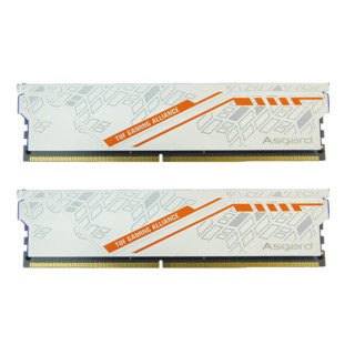 PLUS会员：Asgard 阿斯加特 金伦加-白甲 TUF联名款 DDR4 3600MHz 台式机内存条 32GB（16GBx2）套装