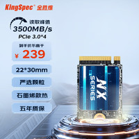 KingSpec 金胜维 22*30 NVMe协议固态硬盘  PCIe3.0*4 SSD固态  steamdeck掌机使用 512GB（读速3500 22*30）