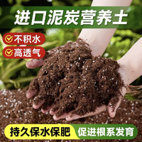 元泰 丰营养土植物通用养花种花兰花月季花泥有机园艺盆栽绿植土园艺肥料 营养土10L