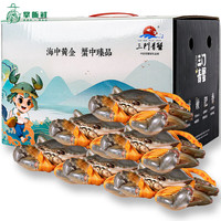【活蟹】掌昕鲜三门青蟹 公母（5-8只）2斤 生鲜活螃蟹海鲜品盒源头直发