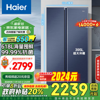 Haier 海尔 星蕴系列对开门冰箱 618L BCD-618WGHSSEDBL