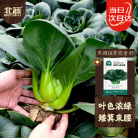 北蔬 苏州青菜种子黑叶矮脚耐寒甜糯蔬菜种籽 黑硕18苏州青种子20g