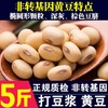 呆呆菇娘 非转基因黄豆5斤 新黄豆农家自种黄豆打豆浆笨黄豆